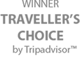 Winner Traveler's Choice